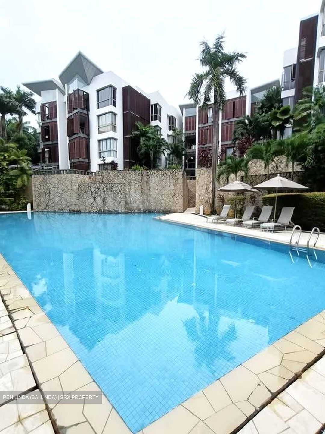 Palm Grove Condominium (D19), Condominium #594776171